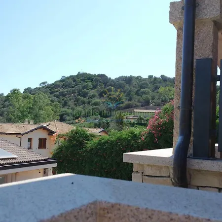Cipalilla Chia