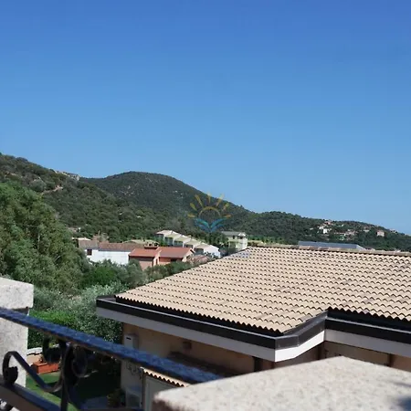 Cipalilla Chia